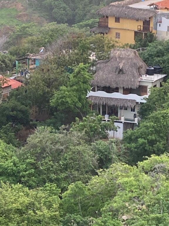 Colibri , ganzes Haus